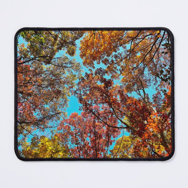 Item preview, Fall Canopy designed and sold by bjtomiko.