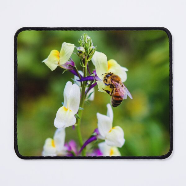 Item preview, A Buzzin' Spring Bloom designed and sold by VMKPhotography.