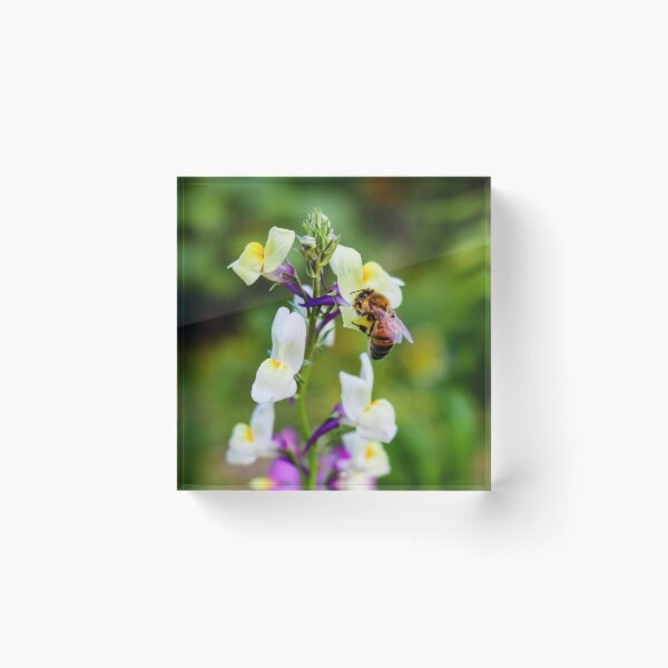 Item preview, A Buzzin' Spring Bloom designed and sold by VMKPhotography.