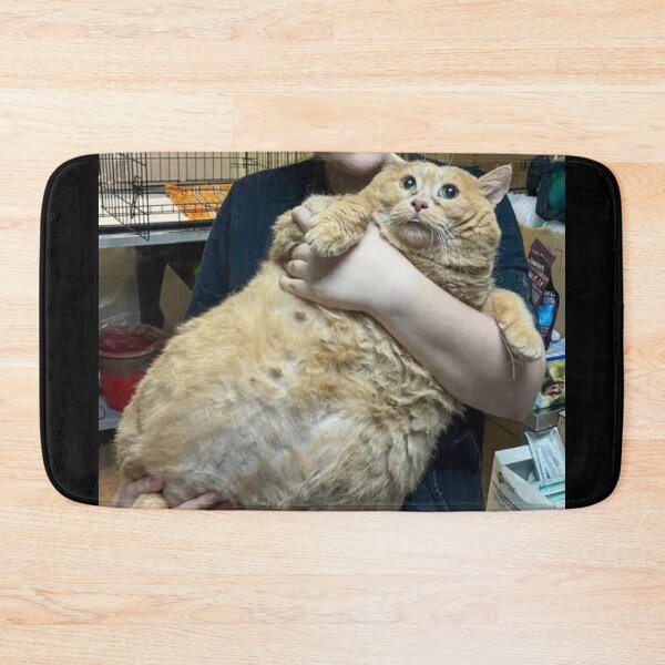 Item preview, worlds fattest cat designed and sold by Zip 56k.