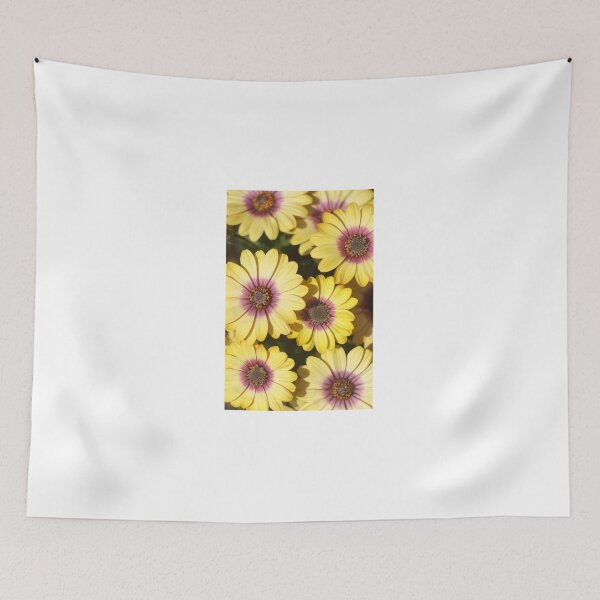 Aperçu de l'œuvre "Marguerites de tournesol" créée et vendue par Richard Couchman.