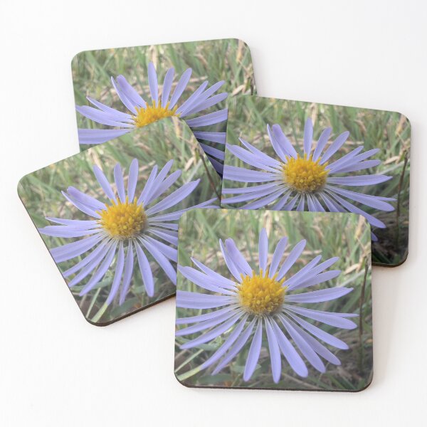 Item preview, A Single Pacific Asrer designed and sold by Betsy Phillips.