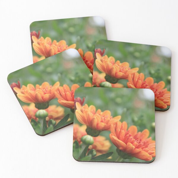 Item preview, Flowers Microsoft Background designed and sold by Moofiegoo.