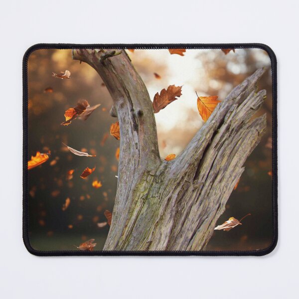 Item preview, Falling Leaves designed and sold by passion4photos.