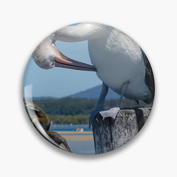 Item preview, Pelicans Tuncurry 50001 designed and sold by kevin Chippindall.