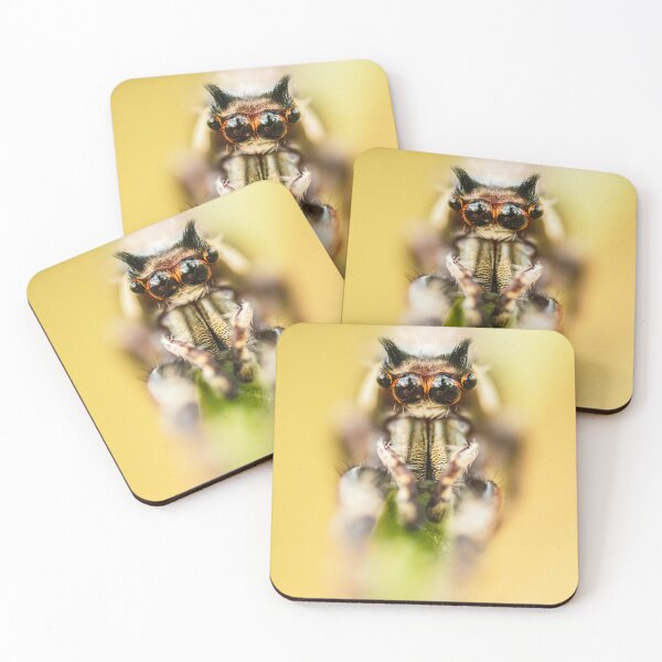 Item preview, Eyebrowed Jumping Spider designed and sold by robdwildlife.