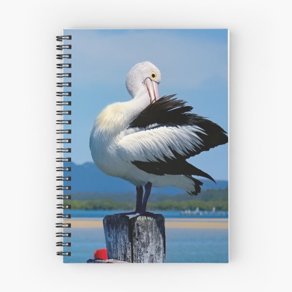 Item preview, Pelican Tuncurry 50222 designed and sold by kevin Chippindall.