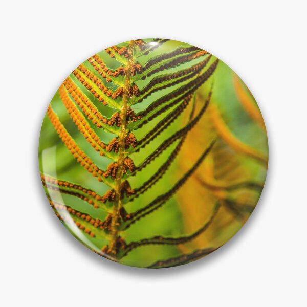 Item preview, Ferns designed and sold by Tim McGuire Fine Art.