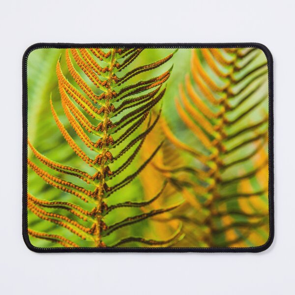 Item preview, Ferns designed and sold by Tim McGuire Fine Art.