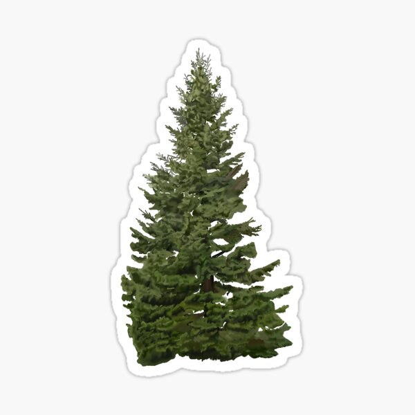 Item preview, Grand Fir designed and sold by Ktwlf.