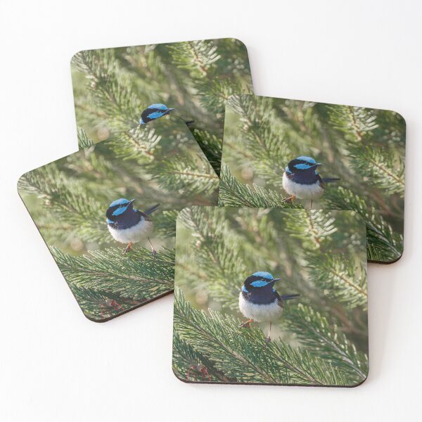 Item preview, Superb Fairywren Among the Pines designed and sold by AvianAdventures.
