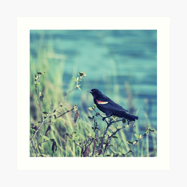 protective Art Print