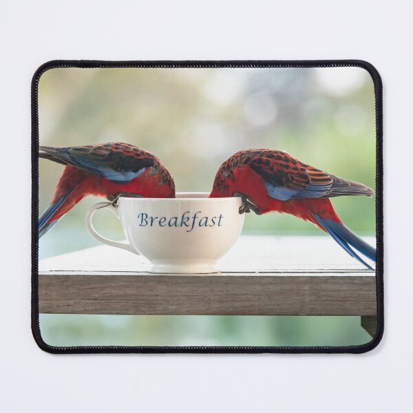 Item preview, Crimson Rosellas tuck in! designed and sold by supersnapper.