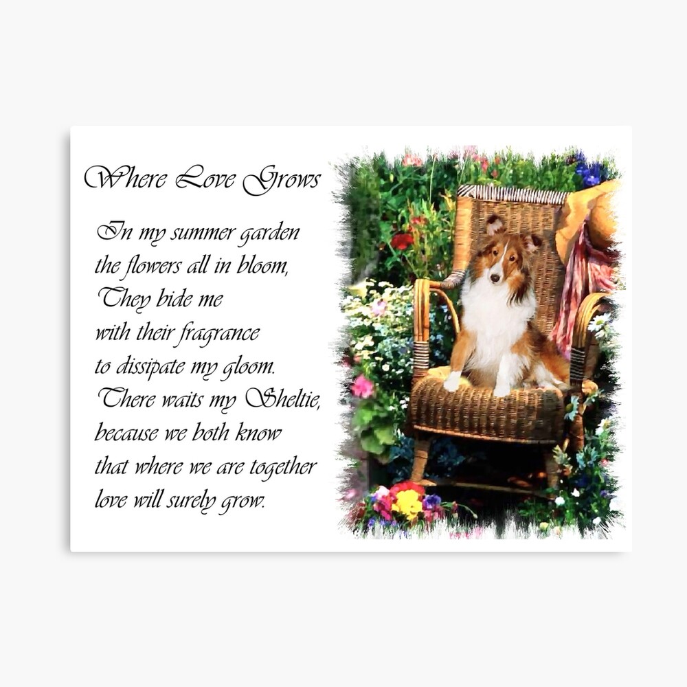 summer garden shelties