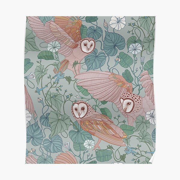 Pink barn owls Poster