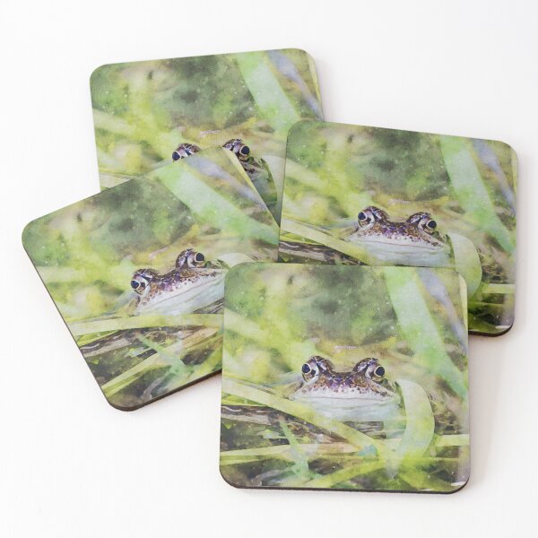 Item preview, Frog in pond amidst green levaes designed and sold by Dolfilms.