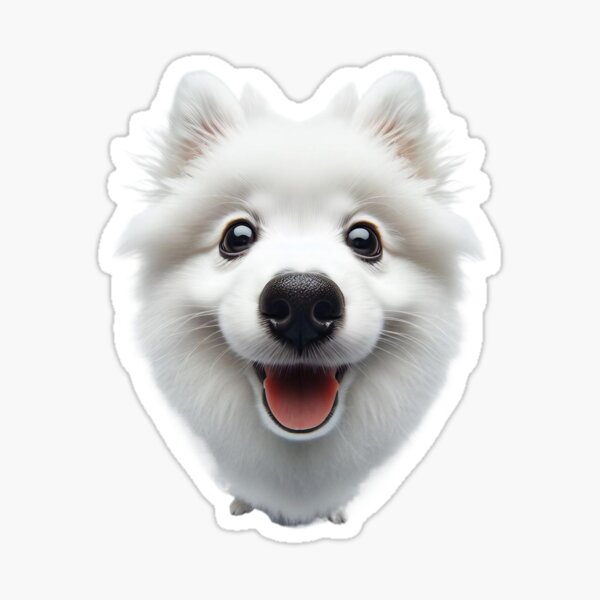 Item preview, Cute and fluffy american eskimo puppy designed and sold by eye_contact.