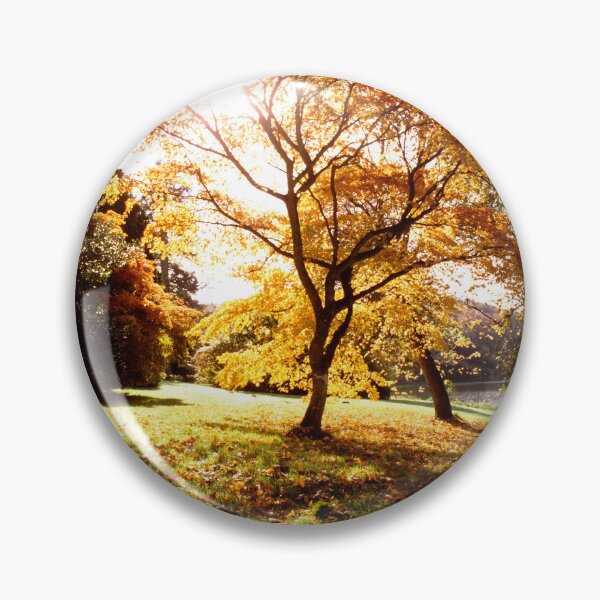 Item preview, Acer Palmatum, Stourhead Gardens, Witltshire designed and sold by JonDelorme.