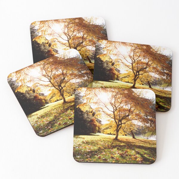 Item preview, Acer Palmatum, Stourhead Gardens, Witltshire designed and sold by JonDelorme.