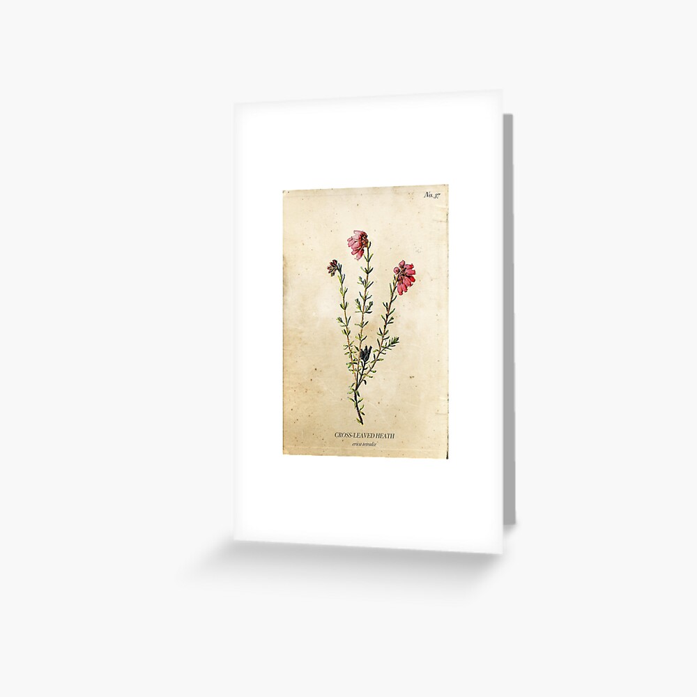 Item preview, Greeting Card designed and sold by enami.