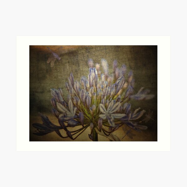 Dragonfly Blue Art Print