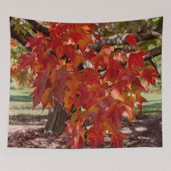 Item preview, Autumn Leaves designed and sold by Cathy Donohoue.
