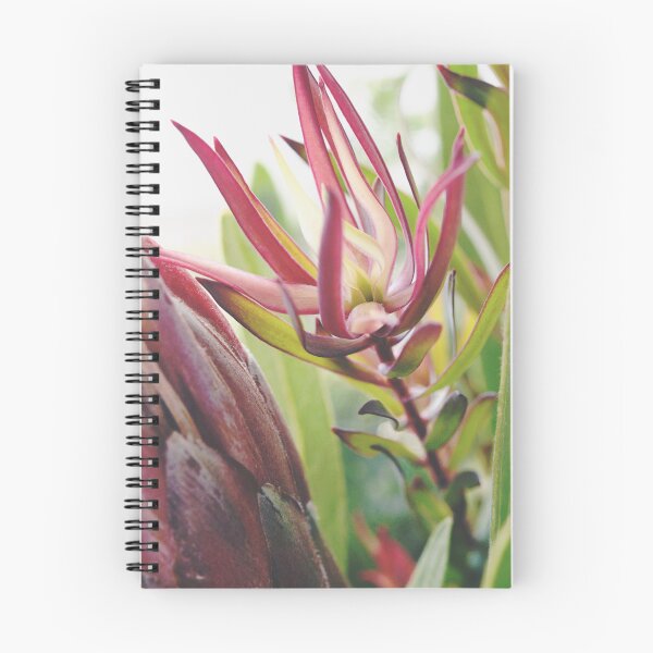 Item preview, South Africa Native - Leucadendron designed and sold by imaginethis.