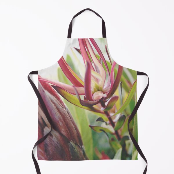 Item preview, South Africa Native - Leucadendron designed and sold by imaginethis.