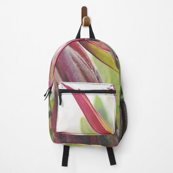 Item preview, South Africa Native - Leucadendron designed and sold by imaginethis.
