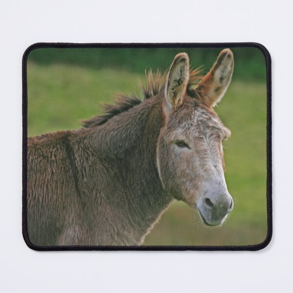 Item preview, Cute Ass! designed and sold by RedHillDigital.