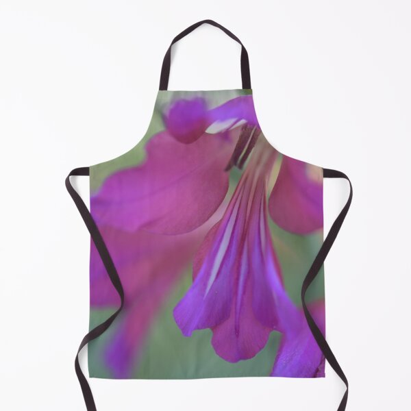 Item preview, Gladiolus byzantinus designed and sold by imaginethis.