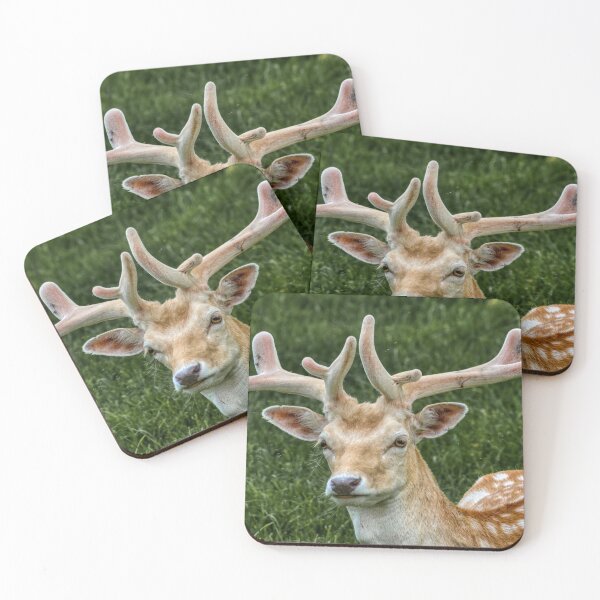 Item preview, Fallow Deer Portrait designed and sold by HelkoryoArt.