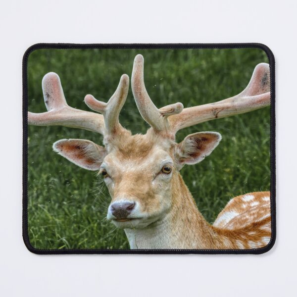 Item preview, Fallow Deer Portrait designed and sold by HelkoryoArt.