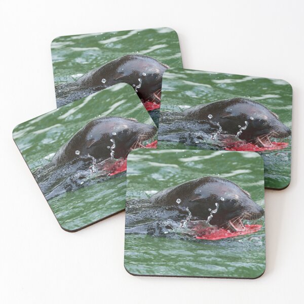 Item preview, Sea Lion at Play designed and sold by rawshutterbug.