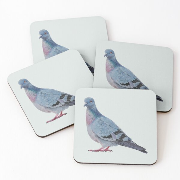 Item preview, Rock Pigeon 2 painting (no background) designed and sold by Emily Bickell.