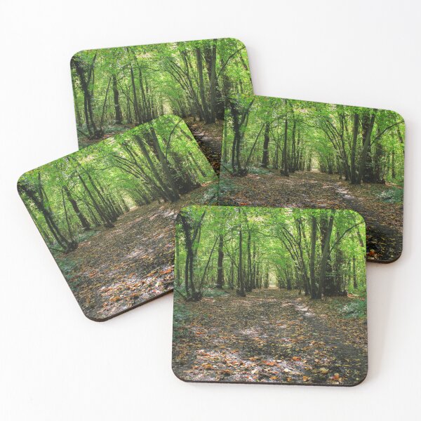 Item preview, Path Filled with Leaves designed and sold by Vicki Spindler (VHS Photography).