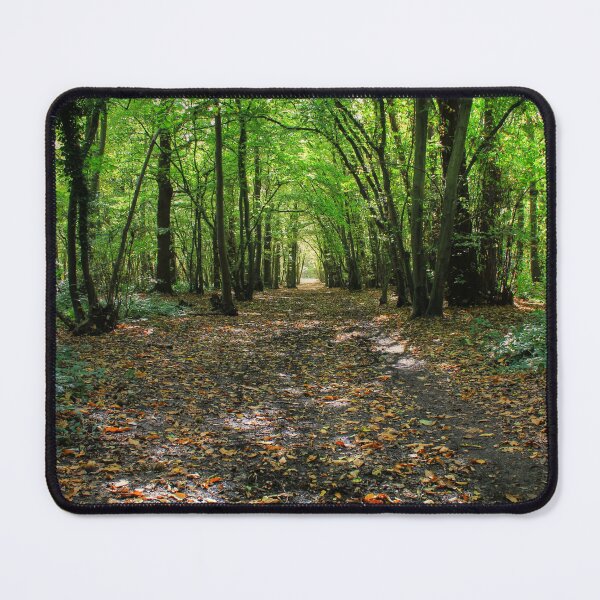 Item preview, Path Filled with Leaves designed and sold by Vicki Spindler (VHS Photography).