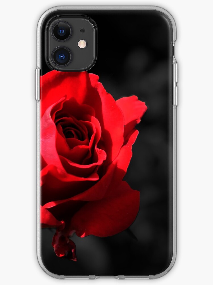 Get Roterose net Free HD Roterose Net