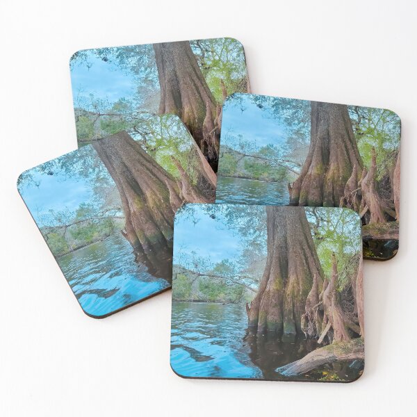 Item preview, Florida Cypress Tree - 3 designed and sold by EstelleCress.