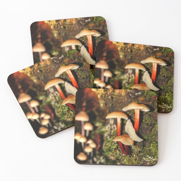 Item preview, Moss and Mushrooms designed and sold by Vicki Spindler (VHS Photography).