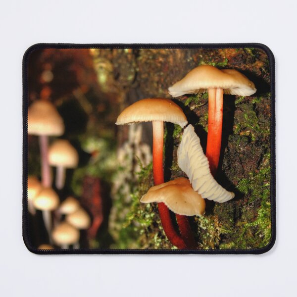 Item preview, Moss and Mushrooms designed and sold by Vicki Spindler (VHS Photography).