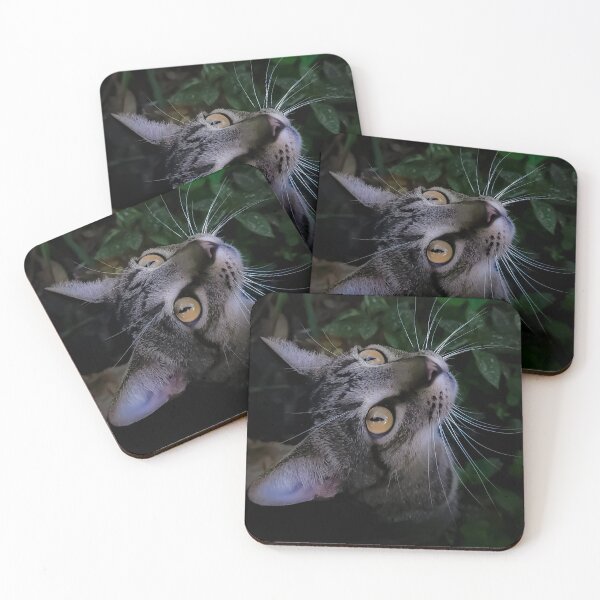 Item preview, Long Whiskers Big Eyes Cat designed and sold by EstelleCress.
