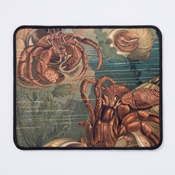 Item preview, Hermit Crabs vintage art designed and sold by Vintage Designs +.