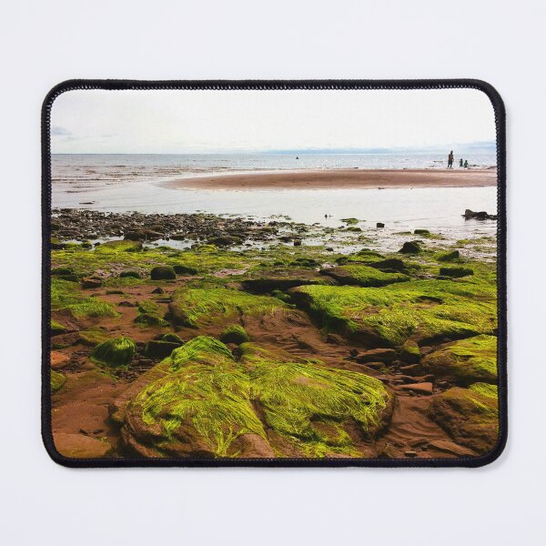 Item preview, Rocks and green algae designed and sold by Topmel.