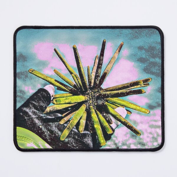 Item preview, Slate Urchin 2 designed and sold by Scurvy Dawg Design.