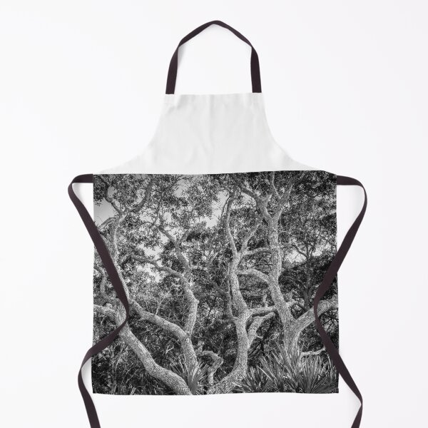 Item preview, Florida Scrub Oaks BW X100   designed and sold by RichFrancoCars.