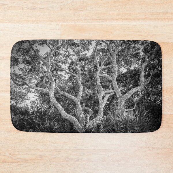 Item preview, Florida Scrub Oaks BW X100   designed and sold by RichFrancoCars.