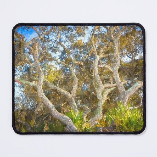 Item preview, Florida Scrub Oaks BW X101   designed and sold by RichFrancoCars.