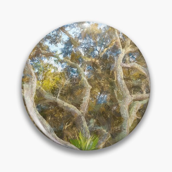 Item preview, Florida Scrub Oaks BW X101   designed and sold by RichFrancoCars.