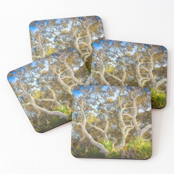 Item preview, Florida Scrub Oaks BW X101   designed and sold by RichFrancoCars.